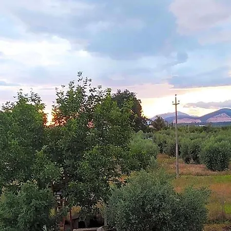 Bed & Breakfast Sabrina Sonnino